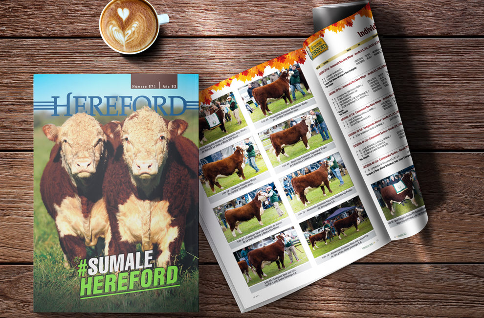 Revista Hereford 671